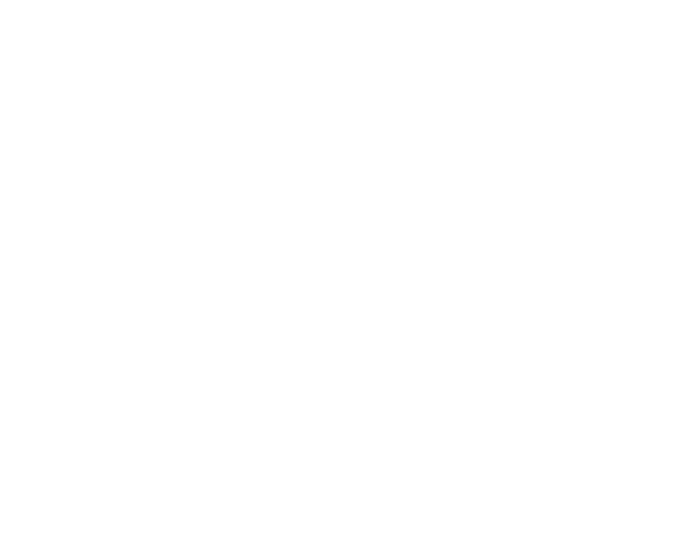 Zen 1g Backdrop Emblem
